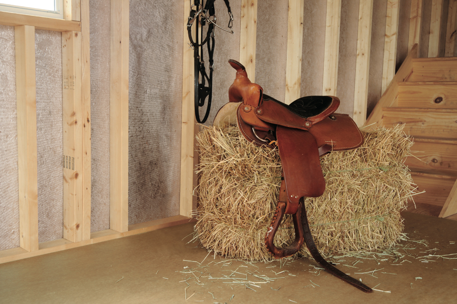 shed interior walls and floor