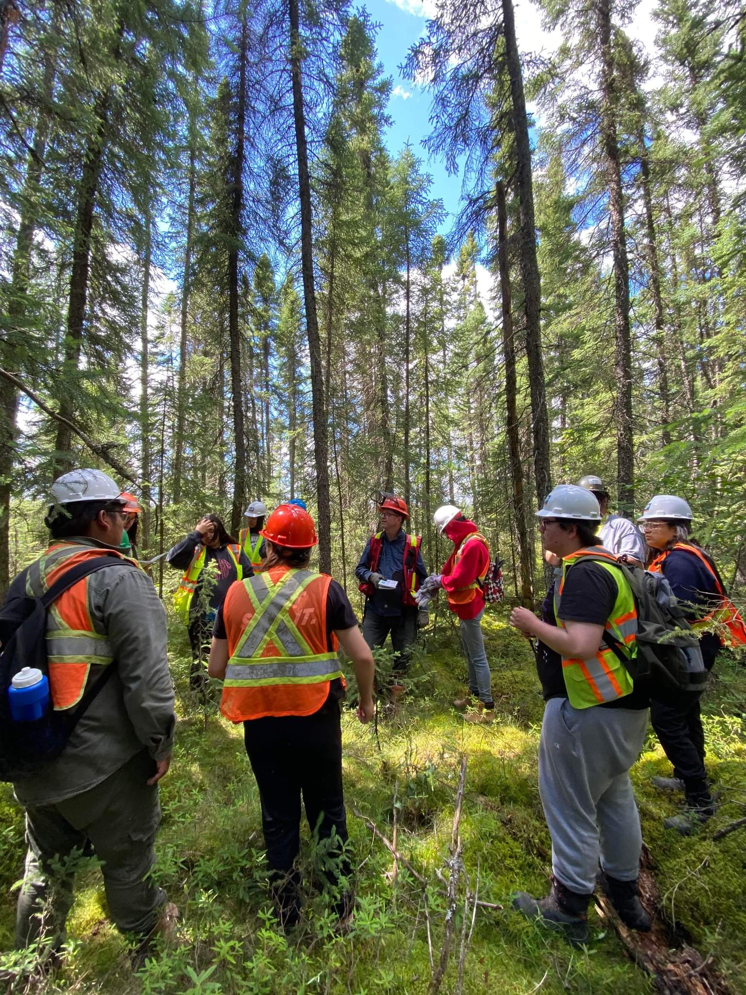 people in middle of forest